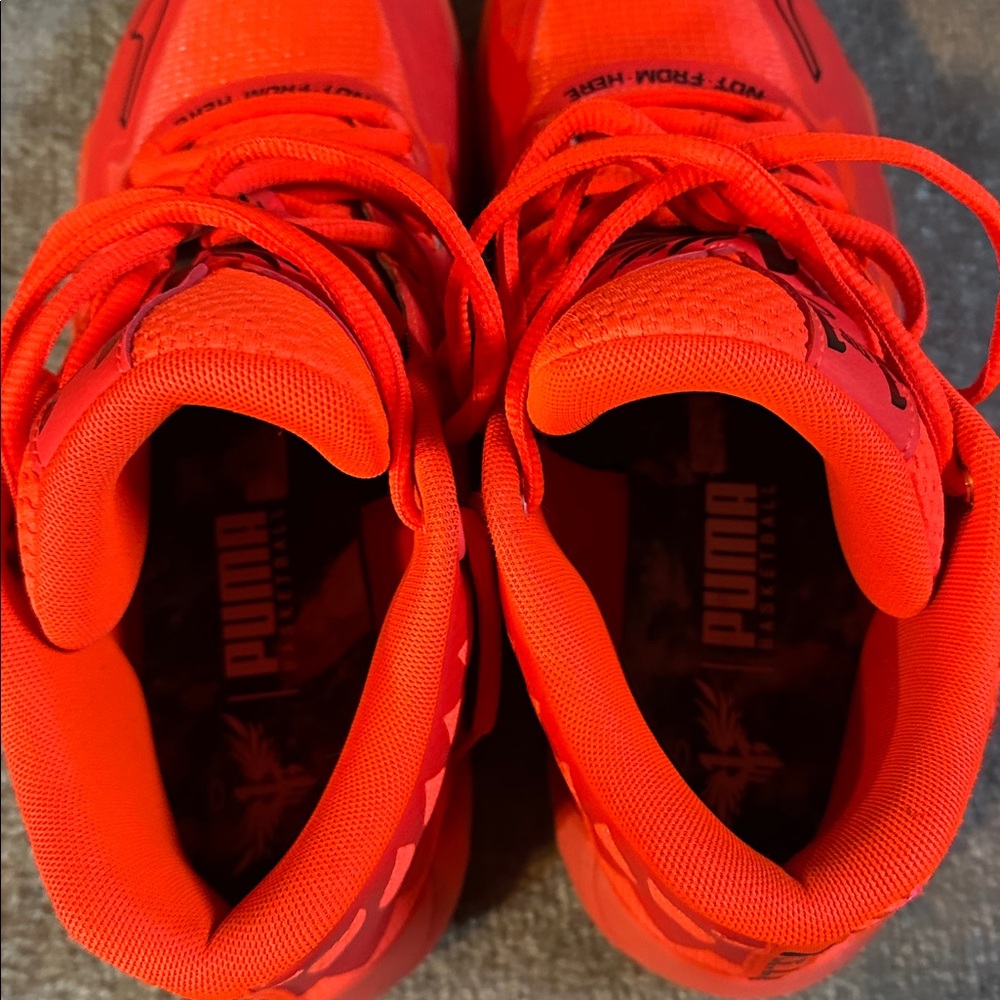 SOLD - Picture 5 of 8